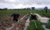Huy động mọi nguồn lực chống úng