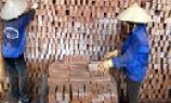 Sản xuất gạch bằng lò vòng cải tiến