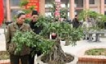 Bắc Ninh: Ghi nhận qua mười năm thực hiện nếp sống văn minh trong việc cưới, tang và lễ hội
