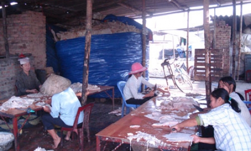 Thêm một việc làm hủy hoại sông Cầu
