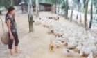 Đồng thuận làm giàu
