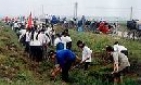 Đẩy nhanh tiến độ làm thủy lợi cải tạo đất