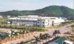 Tín hiệu đáng mừng