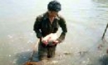 Tiên Du: 6.335 hộ sản xuất kinh doanh giỏi các cấp