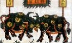 Con trâu trong đời sống và nghệ thuật dân gian xứ Bắc