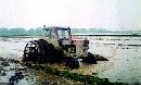 Năm Sửu, nhớ những con “trâu sắt”