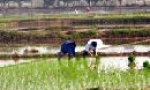 Tiền đề cho phát triển vụ đông