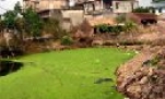 An Động - Nơi “hội tụ” dịch bệnh