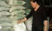 Giá và chất lượng phân bón - Nỗi lo của nông dân