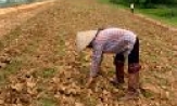 Yên Phong: Triển khai kế hoạch PCLB, tìm kiếm cứu nạn năm 2009