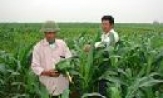 Dồn điền đổi thửa ở Gia Bình-Những kết quả bước đầu 