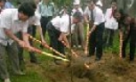 Hưởng ứng Tuần lễ Quốc gia nước sạch, vệ sinh môi trường và Ngày môi trường thế giới