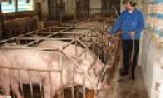 Hội Nông dân tỉnh: Hơn 42.000 hội viên được vay vốn phát triển kinh tế. Chuyển giao KHKT cho 74.300 lượt hội viên