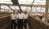 Toàn tỉnh có 11 nhà máy gạch tuynel đã đi vào sản xuất