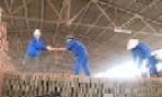 Giải pháp cho phát triển bền vững 