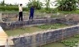  Hơn 5.500 hội viên Nông dân Thuận Thành được vay vốn phát triển kinh tế