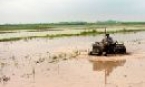 Lương Tài chủ động gieo cấy lúa mùa