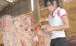 Đơn giản hoá thủ tục hành chính về đầu tư và tiếp cận đất của doanh nghiệp vừa và nhỏ