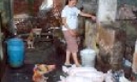 Triển khai kế hoạch tiêm phòng đại trà cho đàn gia súc gia cầm