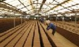 Giải pháp phát triển doanh nghiệp tư nhân