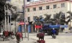 Bò thả rông trên Quốc lộ 18 - Nguy cơ gây tai nạn giao thông