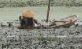 Sông hỏi người... Bao giờ xanh lại!