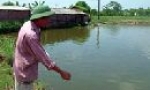 Sắc xanh trên đất Đổng Lâm