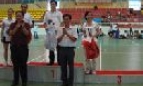 Giải vô địch Cầu lông các nhóm tuổi tỉnh Bắc Ninh lần thứ XII năm 2009