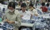 Đào tạo nghề ngắn hạn cho hơn 1.000 người