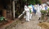 Tập trung tiêm phòng bảo vệ an toàn đàn gia súc, gia cầm