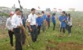 Trồng mới 250 gốc tre chắn sóng trên tuyến đê bối sông Cầu