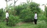 Trạm Khuyến nông huyện Gia Bình - 10 năm đồng hành với nhà nông 