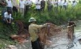 Đánh giá kết quả một số mô hình thâm canh cá