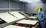 Viglacera Tiên Sơn nỗ lực cho những thành công 