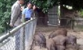 Nông dân Lương Tài thi đua sản xuất kinh doanh giỏi