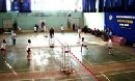 Giải cầu lông truyền thống Hội CCB khối cơ quan Dân Chính Đảng tỉnh lần thứ VII năm 2009