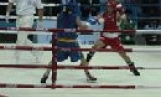Bắc Ninh đoạt 4 HCĐ giải Cúp các Câu lạc bộ Boxing toàn quốc năm 2010