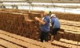 Công ty cổ phần sản xuất và thương mại Bắc Hưng: Sản xuất quý I đạt 20% kế hoạch năm 2010