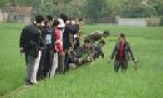 Học tập kinh nghiệm phòng trừ bệnh lùn sọc đen tại Thái Bình 