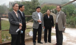 Phó Chủ tịch Thường trực UBND tỉnh: Kiểm tra công tác phòng chống dịch cúm gia cầm tại xã Nam Sơn (thành phố Bắc Ninh)