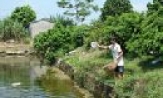Hội nghề cá tỉnh: Phấn đấu 60% chi hội đạt thu nhập 100 triệu đồng/ha/năm