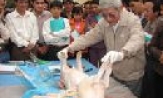Quyết tâm khống chế dịch bệnh