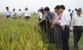 Trao đổi kinh nghiệm hoạt động của các HTX nông nghiệp tiên tiến