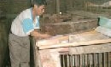 Nuôi nhím hiệu quả cao 