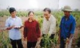 Xung kích trên mặt trận mới 