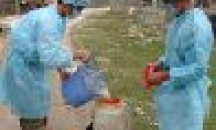 Thực hiện chiến dịch vệ sinh khử trùng, tiêu độc môi trường