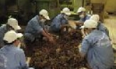 Công ty Thuốc lá Bắc Sơn: Thu nộp ngân sách tăng 12% so với cùng kỳ