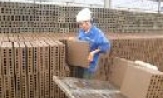 Công ty TNHH Hoa Sơn (KCN Đại Đồng- Hoàn Sơn): Doanh thu 6 tháng đạt 31 tỷ đồng.