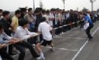 Hội khỏe thanh niên Khối các cơ quan tỉnh