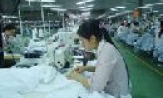 Công ty Cổ phần Đông Bình: Doanh thu tăng trưởng mạnh